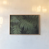 Leafy V by Elizabeth Urquhart. shown as a paper print in a natural frame. Available as a archival giclee rolled canvas, fine art paper, or poster print. SKU 50722i.