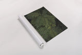 Leafy VI by Elizabeth Urquhart. shown as a rolled paper print. Available as archival giclee rolled canvas, fine art paper, or poster print. SKU 50723i.