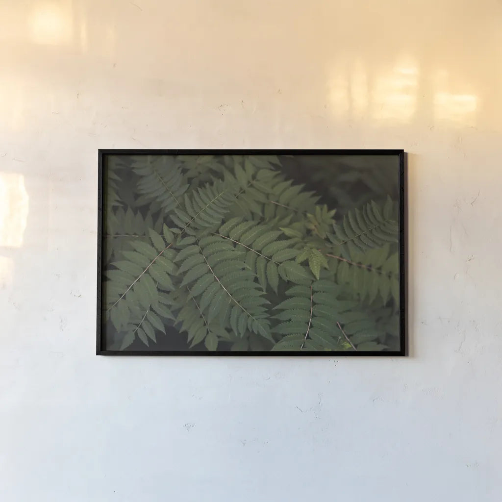 Leafy VI by Elizabeth Urquhart. shown as a paper print in a black flame. Available as a archival giclee rolled canvas, fine art paper, or poster print. SKU 50723i.