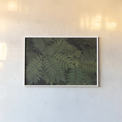 Leafy VI by Elizabeth Urquhart. shown as a paper print in a white frame. Available as a archival giclee rolled canvas, fine art paper, or poster print. SKU 50723i.