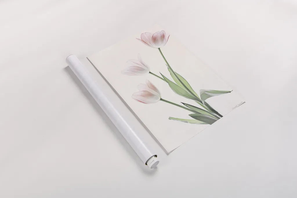 Light and Bright Floral I by Elizabeth Urquhart. shown as a rolled paper print. Available as archival giclee rolled canvas, fine art paper, or poster print. SKU 33338h.