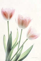 Light and Bright Floral II by Elizabeth Urquhart. SKU 33339h. Archival Giclee Fine art print for wall decor.