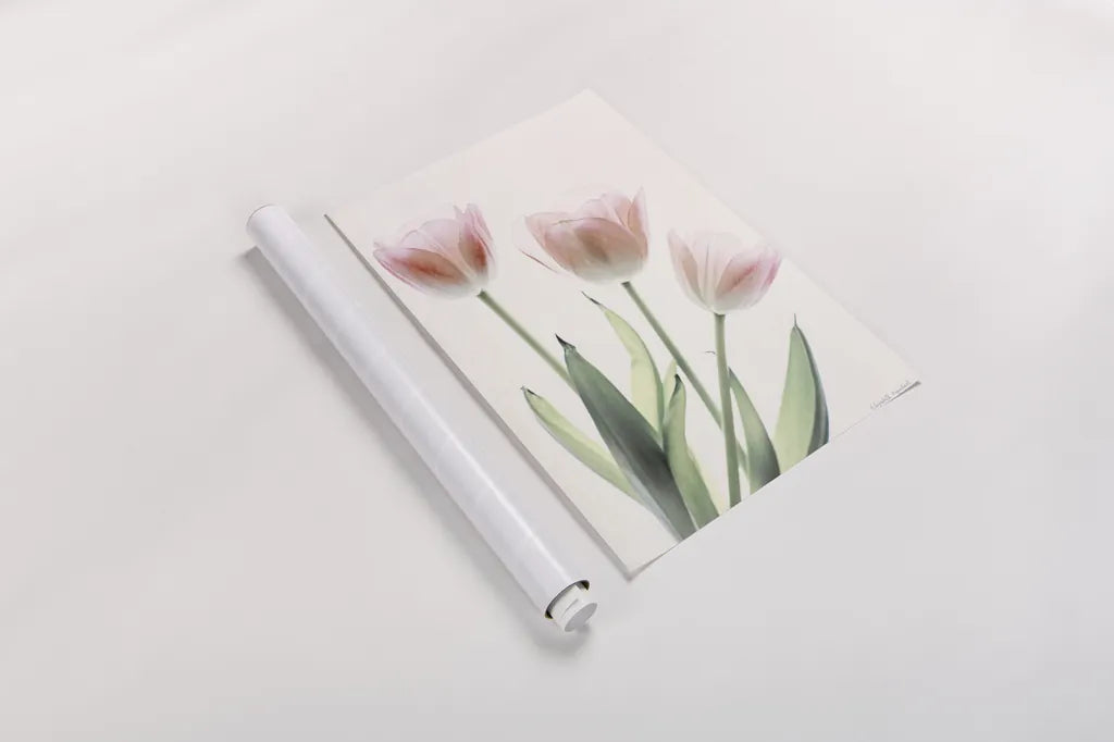 Light and Bright Floral II by Elizabeth Urquhart. shown as a rolled paper print. Available as archival giclee rolled canvas, fine art paper, or poster print. SKU 33339h.