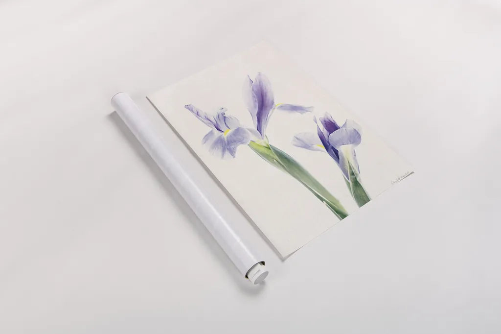 Light and Bright Floral III by Elizabeth Urquhart. shown as a rolled paper print. Available as archival giclee rolled canvas, fine art paper, or poster print. SKU 33340h.