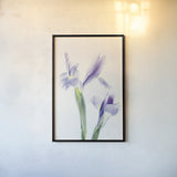 Light and Bright Floral III by Elizabeth Urquhart. shown as a paper print in a black flame. Available as a archival giclee rolled canvas, fine art paper, or poster print. SKU 33340h.
