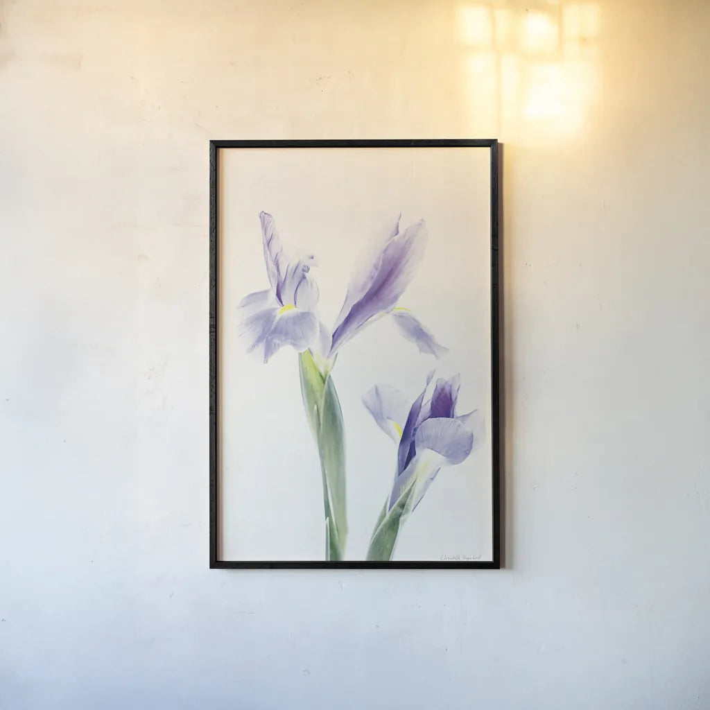 Light and Bright Floral III by Elizabeth Urquhart. shown as a paper print in a black flame. Available as a archival giclee rolled canvas, fine art paper, or poster print. SKU 33340h.