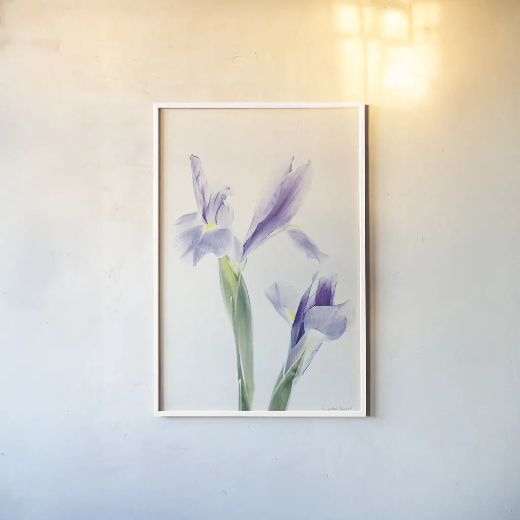 Light and Bright Floral III by Elizabeth Urquhart. shown as a paper print in a white frame. Available as a archival giclee rolled canvas, fine art paper, or poster print. SKU 33340h.