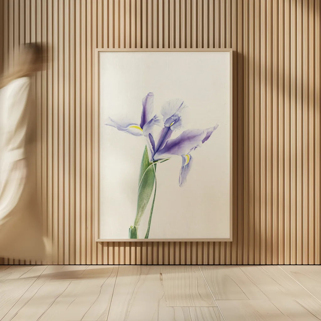 Light and Bright Floral IV by Elizabeth Urquhart. shown as over sized large wall art. Available as an archival giclee rolled canvas, fine art paper, or poster print. SKU 33341h.