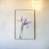 Light and Bright Floral IV by Elizabeth Urquhart. shown as a paper print in a natural frame. Available as a archival giclee rolled canvas, fine art paper, or poster print. SKU 33341h.