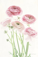 Light and Bright Floral V by Elizabeth Urquhart. SKU 33342h. Archival Giclee Fine art print for wall decor.