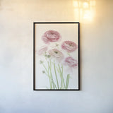 Light and Bright Floral V by Elizabeth Urquhart. shown as a paper print in a black flame. Available as a archival giclee rolled canvas, fine art paper, or poster print. SKU 33342h.