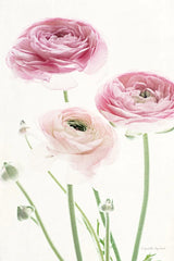 Light and Bright Floral VI by Elizabeth Urquhart. SKU 33343h. Archival Giclee Fine art print for wall decor.