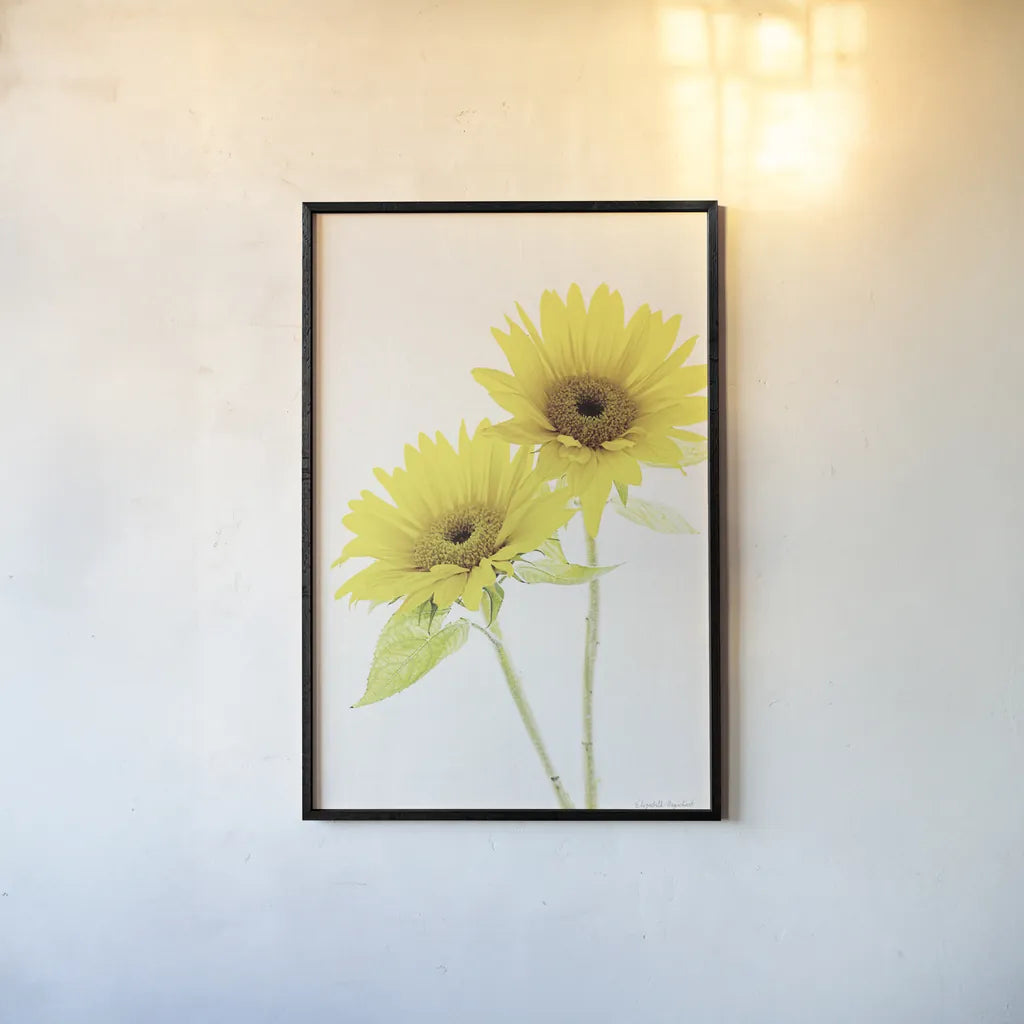 Light and Bright Floral VII by Elizabeth Urquhart. shown as a paper print in a black flame. Available as a archival giclee rolled canvas, fine art paper, or poster print. SKU 33344h.