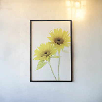 Light and Bright Floral VII by Elizabeth Urquhart. shown as a paper print in a black flame. Available as a archival giclee rolled canvas, fine art paper, or poster print. SKU 33344h.