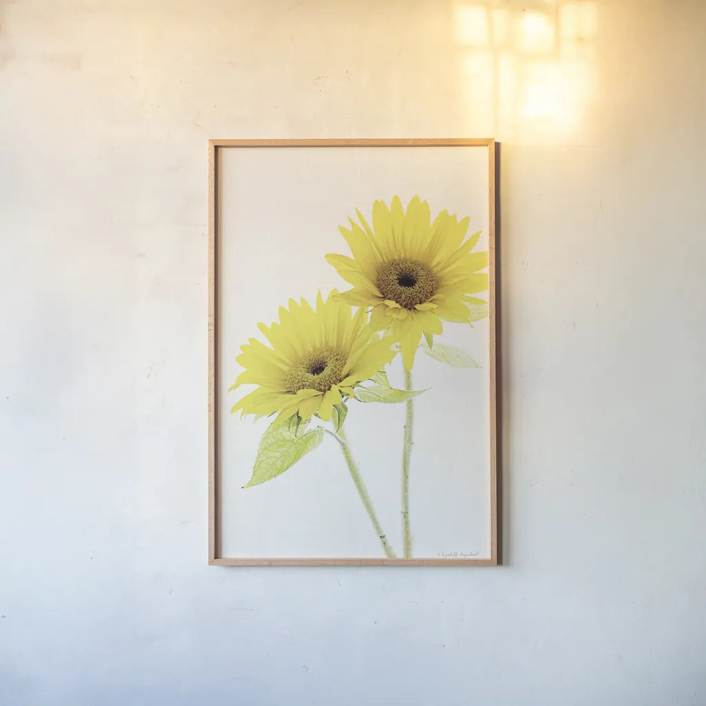 Light and Bright Floral VII by Elizabeth Urquhart. shown as a paper print in a natural frame. Available as a archival giclee rolled canvas, fine art paper, or poster print. SKU 33344h.