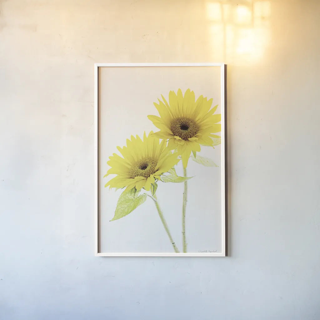 Light and Bright Floral VII by Elizabeth Urquhart. shown as a paper print in a white frame. Available as a archival giclee rolled canvas, fine art paper, or poster print. SKU 33344h.