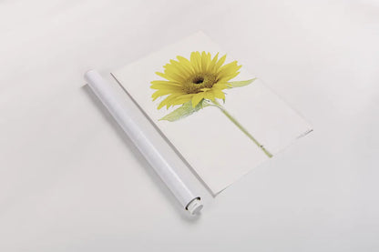 Light and Bright Floral VIII by Elizabeth Urquhart. shown as a rolled paper print. Available as archival giclee rolled canvas, fine art paper, or poster print. SKU 33345h.