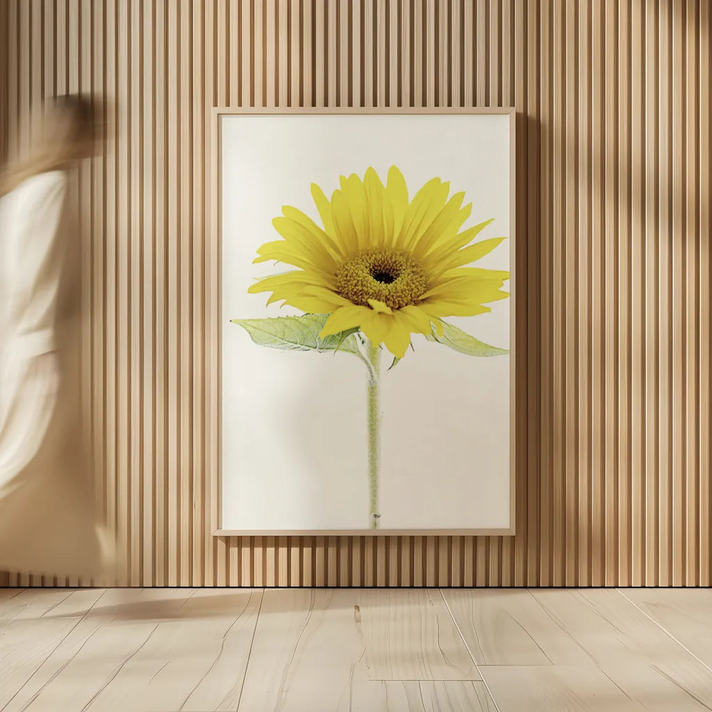 Light and Bright Floral VIII by Elizabeth Urquhart. shown as over sized large wall art. Available as an archival giclee rolled canvas, fine art paper, or poster print. SKU 33345h.
