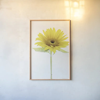 Light and Bright Floral VIII by Elizabeth Urquhart. shown as a paper print in a natural frame. Available as a archival giclee rolled canvas, fine art paper, or poster print. SKU 33345h.
