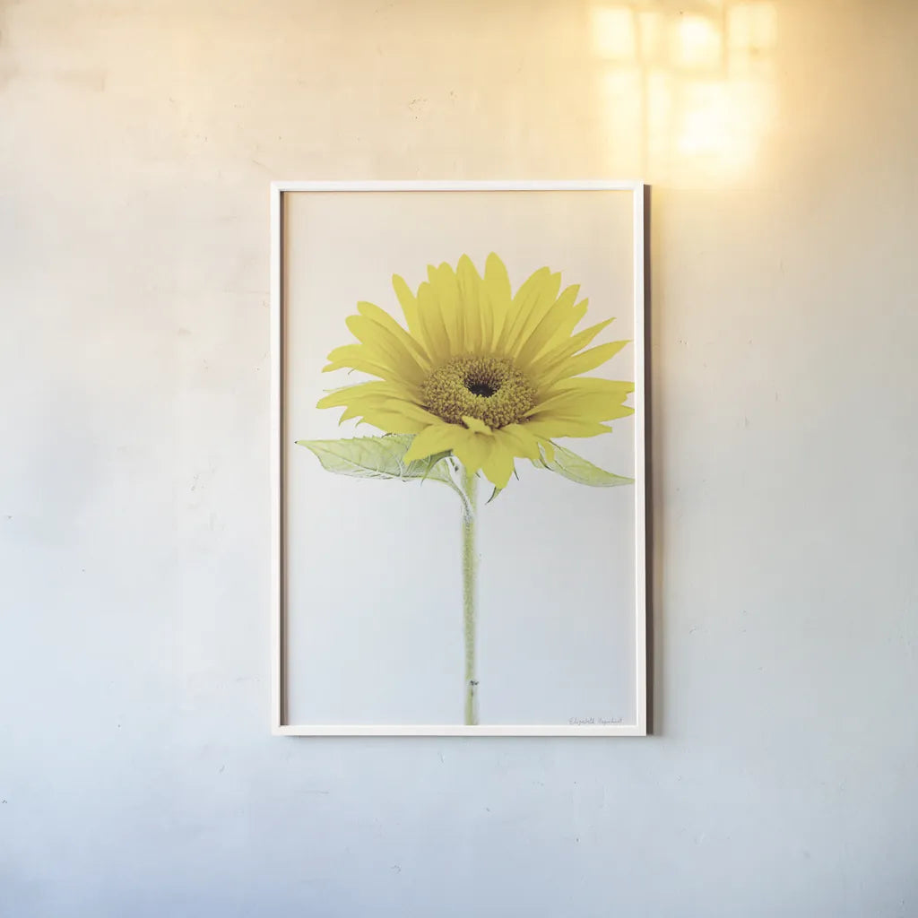 Light and Bright Floral VIII by Elizabeth Urquhart. shown as a paper print in a white frame. Available as a archival giclee rolled canvas, fine art paper, or poster print. SKU 33345h.