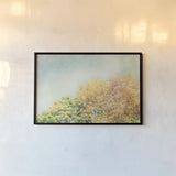 Looking Up II by Elizabeth Urquhart. shown as a paper print in a black flame. Available as a archival giclee rolled canvas, fine art paper, or poster print. SKU 39115i.