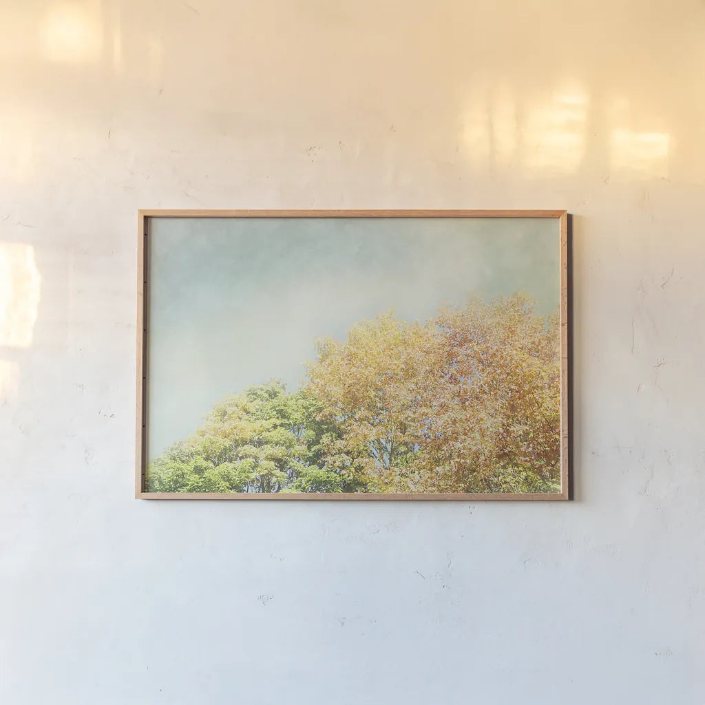Looking Up II by Elizabeth Urquhart. shown as a paper print in a natural frame. Available as a archival giclee rolled canvas, fine art paper, or poster print. SKU 39115i.