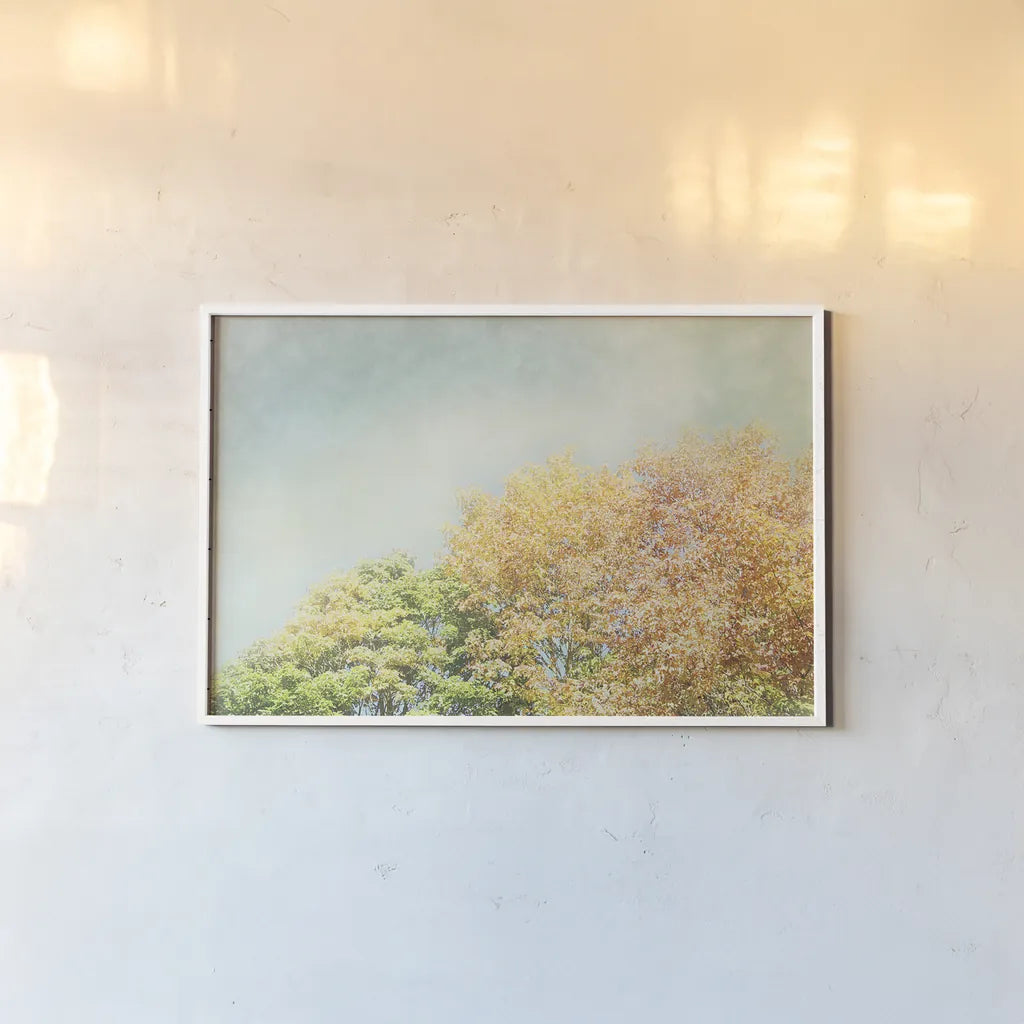 Looking Up II by Elizabeth Urquhart. shown as a paper print in a white frame. Available as a archival giclee rolled canvas, fine art paper, or poster print. SKU 39115i.