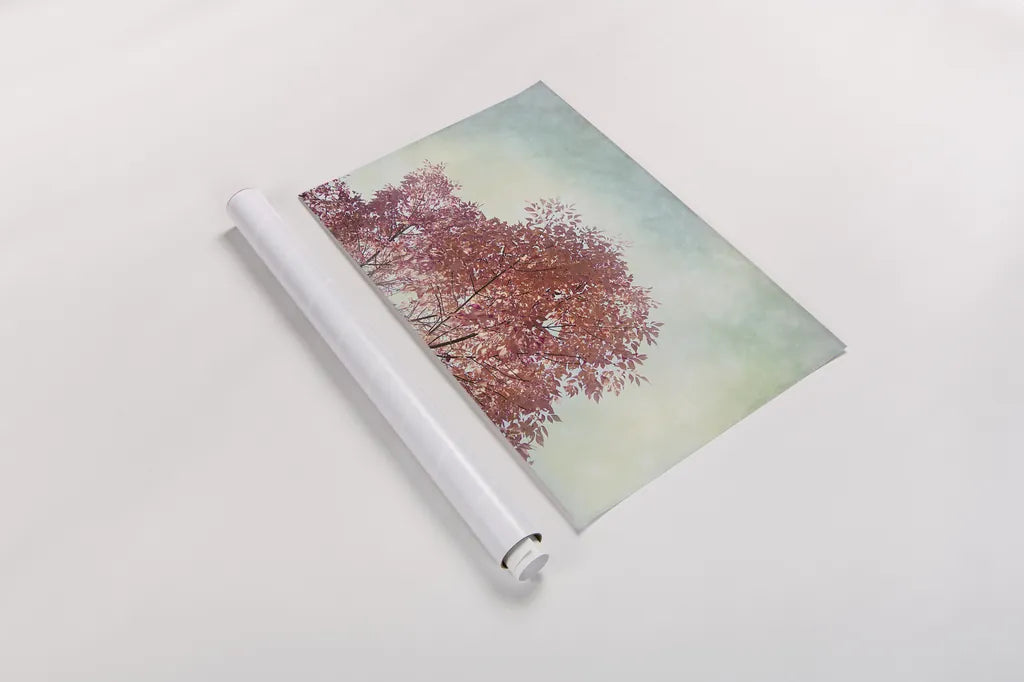 Looking Up III by Elizabeth Urquhart. shown as a rolled paper print. Available as archival giclee rolled canvas, fine art paper, or poster print. SKU 39116i.