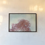 Looking Up III by Elizabeth Urquhart. shown as a paper print in a black flame. Available as a archival giclee rolled canvas, fine art paper, or poster print. SKU 39116i.