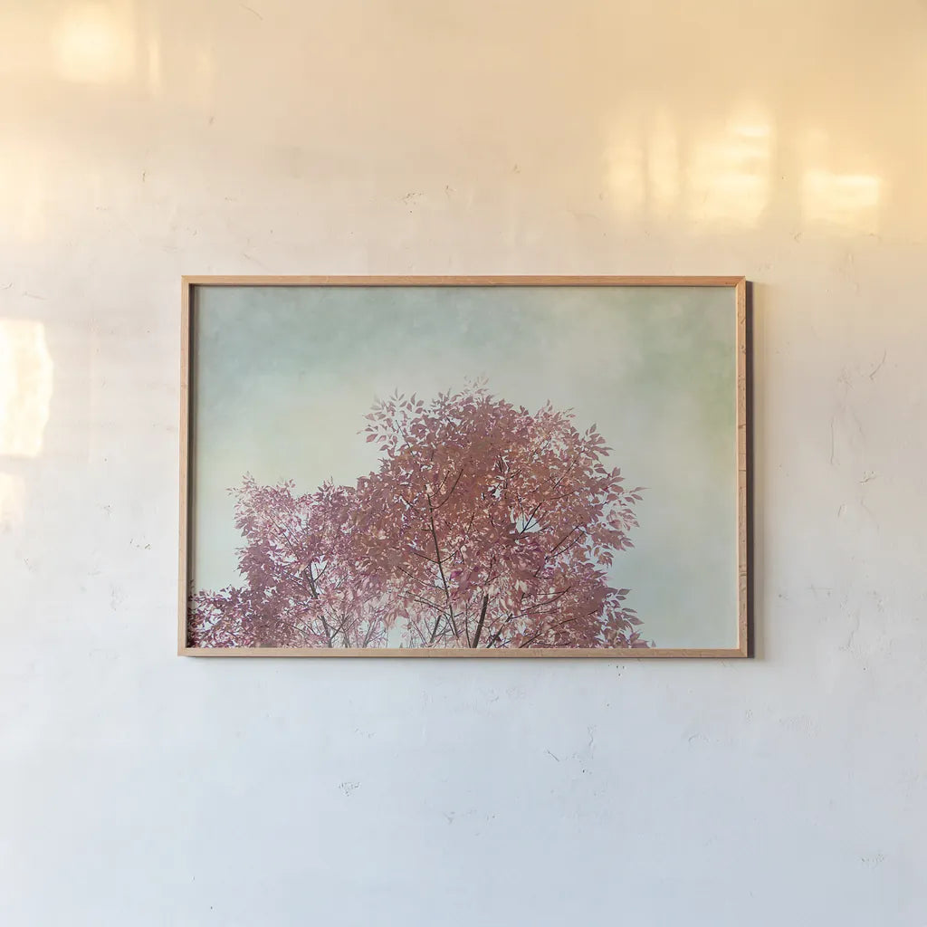 Looking Up III by Elizabeth Urquhart. shown as a paper print in a natural frame. Available as a archival giclee rolled canvas, fine art paper, or poster print. SKU 39116i.