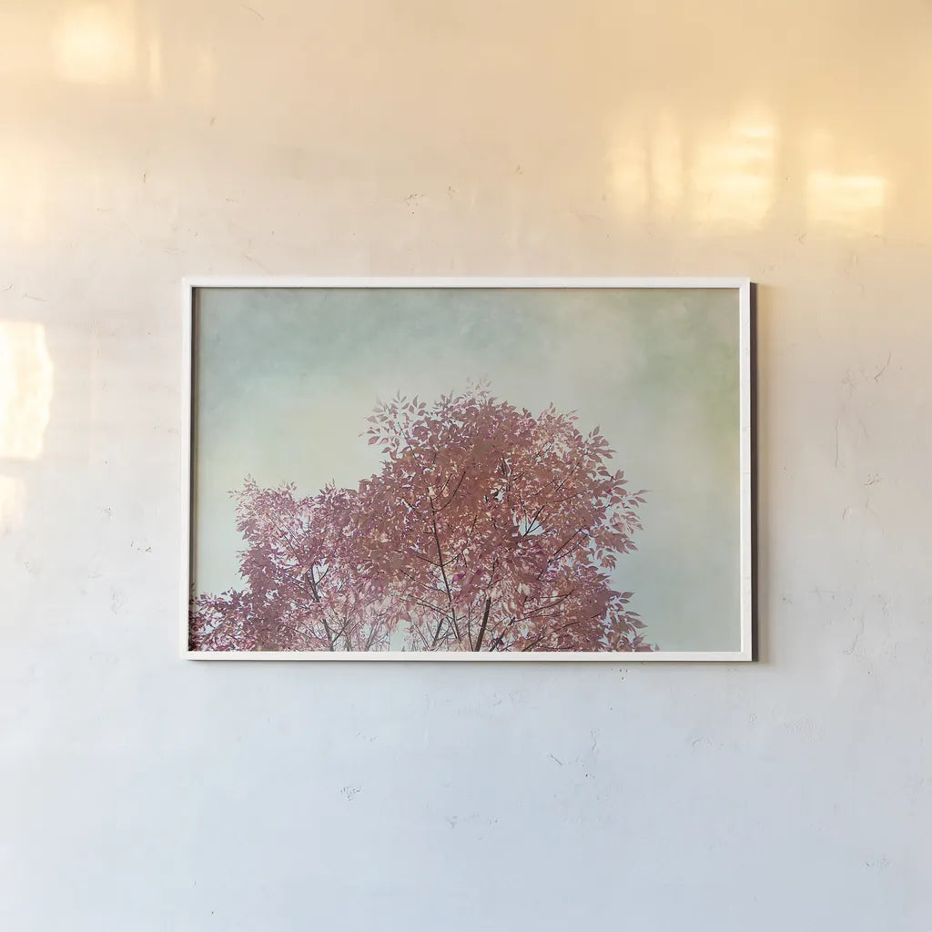 Looking Up III by Elizabeth Urquhart. shown as a paper print in a white frame. Available as a archival giclee rolled canvas, fine art paper, or poster print. SKU 39116i.