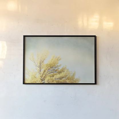 Looking Up IV by Elizabeth Urquhart. shown as a paper print in a black flame. Available as a archival giclee rolled canvas, fine art paper, or poster print. SKU 21192i.