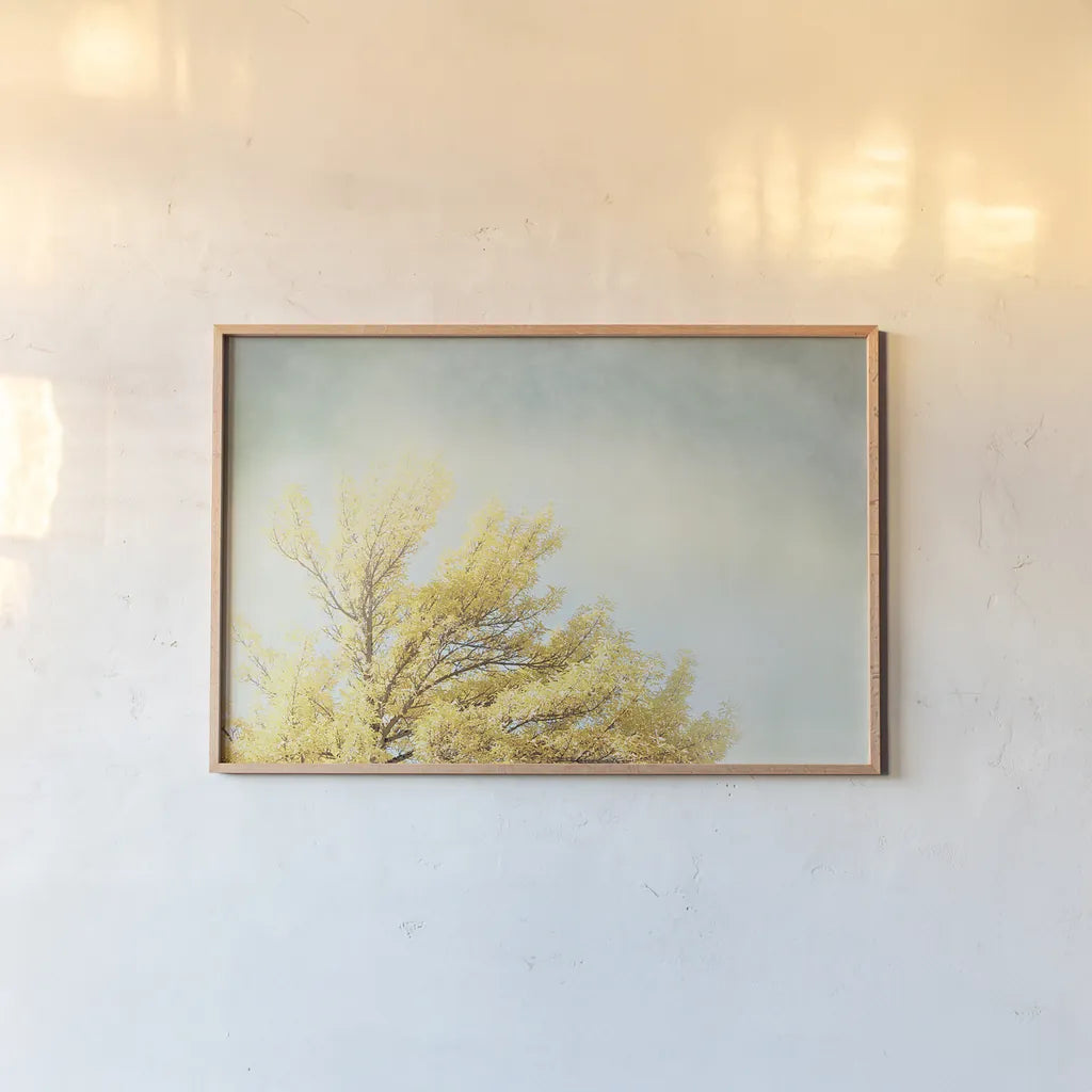 Looking Up IV by Elizabeth Urquhart. shown as a paper print in a natural frame. Available as a archival giclee rolled canvas, fine art paper, or poster print. SKU 21192i.