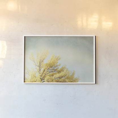 Looking Up IV by Elizabeth Urquhart. shown as a paper print in a white frame. Available as a archival giclee rolled canvas, fine art paper, or poster print. SKU 21192i.