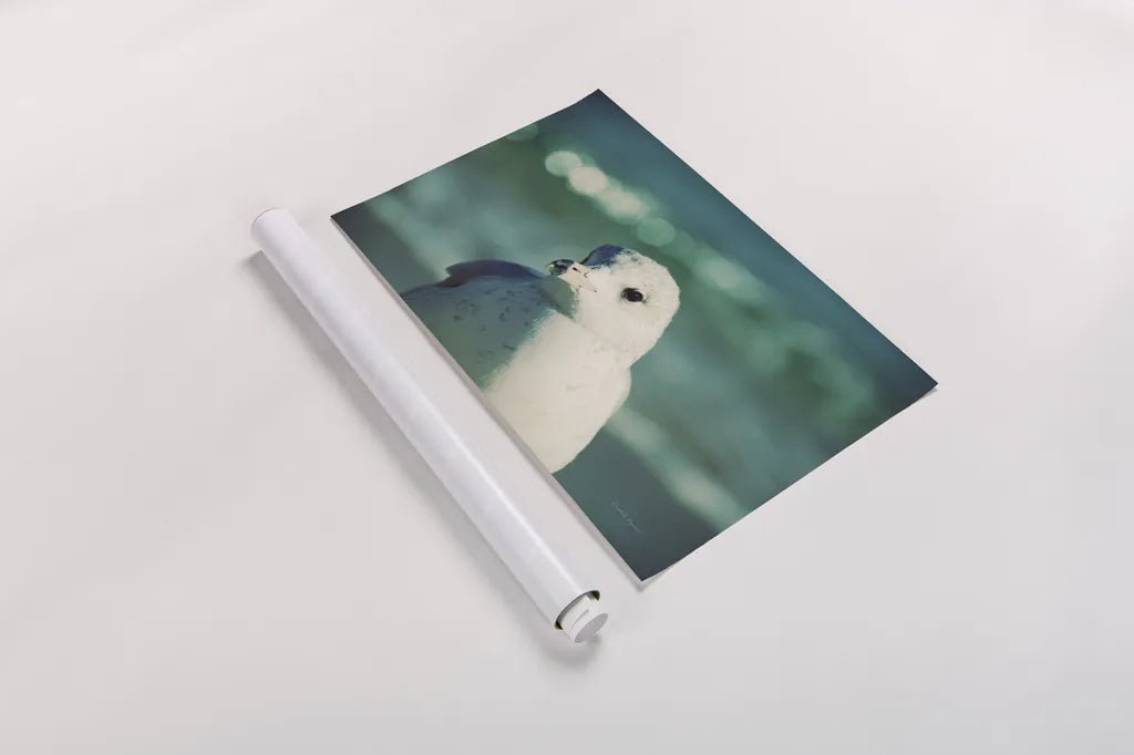 Mint Cottage Days IV by Elizabeth Urquhart. shown as a rolled paper print. Available as archival giclee rolled canvas, fine art paper, or poster print. SKU 23785i.