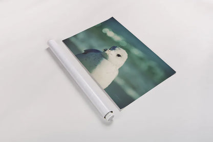 Mint Cottage Days IV by Elizabeth Urquhart. shown as a rolled paper print. Available as archival giclee rolled canvas, fine art paper, or poster print. SKU 23785i.