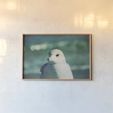 Mint Cottage Days IV by Elizabeth Urquhart. shown as a paper print in a natural frame. Available as a archival giclee rolled canvas, fine art paper, or poster print. SKU 23785i.