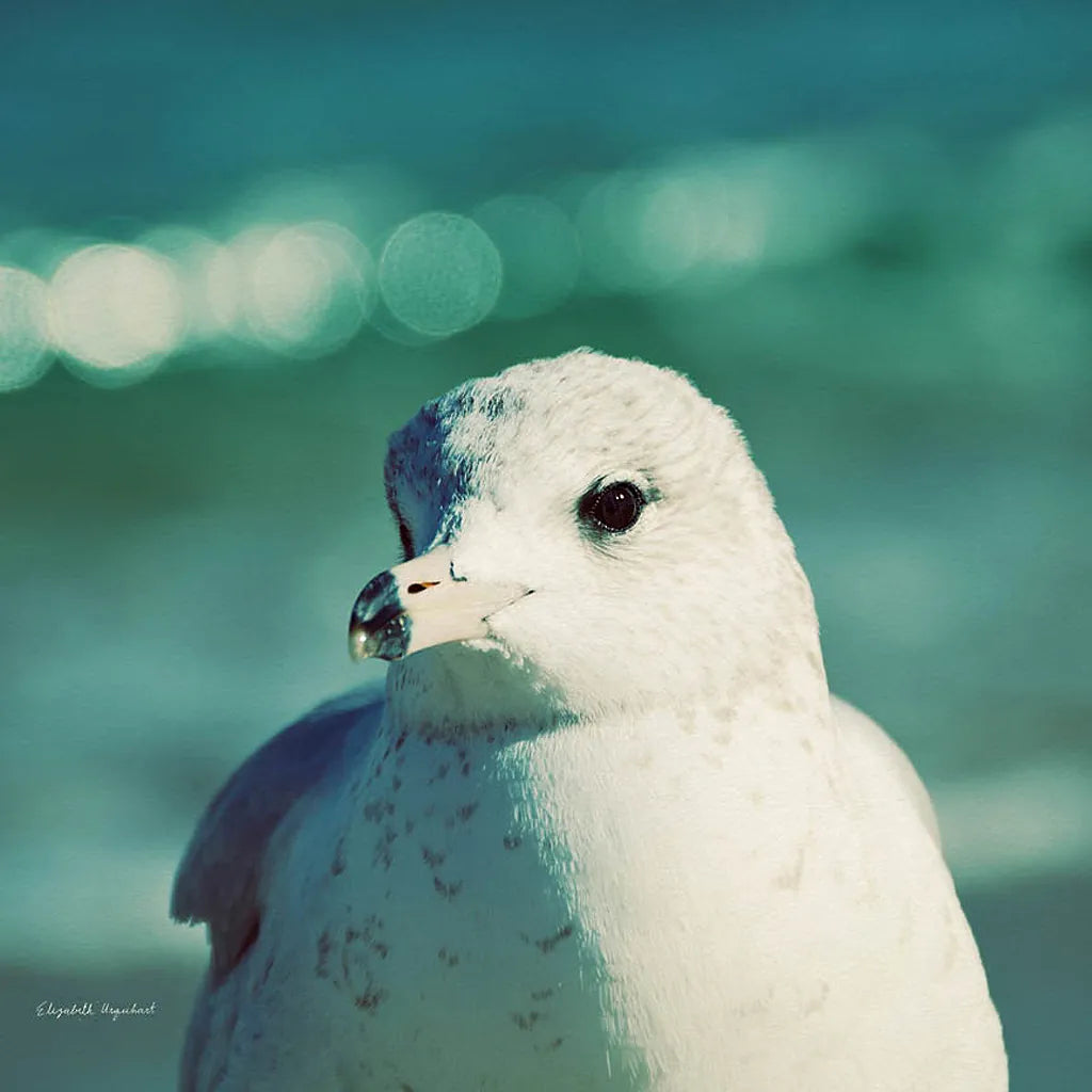 Mint Cottage Days IV Crop by Elizabeth Urquhart. SKU 23785a. Archival Giclee Fine art print for wall decor.