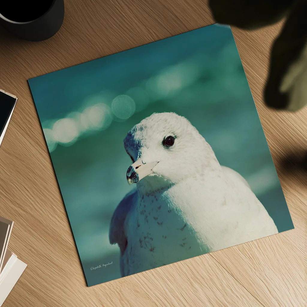 Mint Cottage Days IV Crop by Elizabeth Urquhart. Shown as a detailed flat fine art print, highlighting archival giclee quality. Available as an archival giclee rolled canvas, fine art paper, or poster print. SKU 23785a.