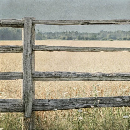 Neutral Country I Crop by Elizabeth Urquhart. SKU 22383a. Archival Giclee Fine art print for wall decor.