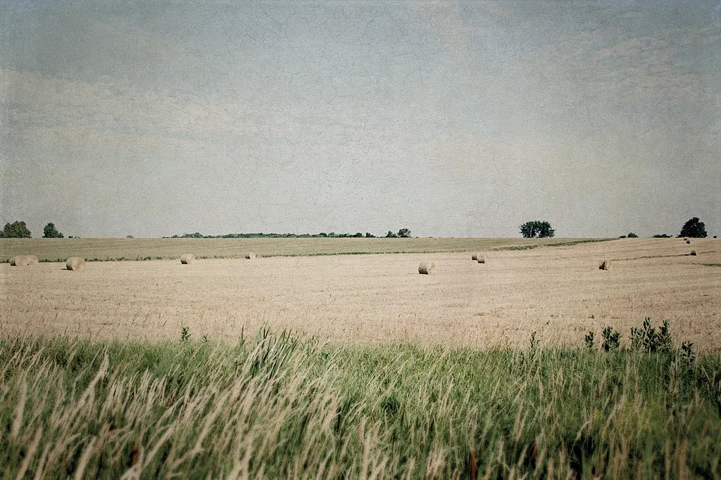 Neutral Country II by Elizabeth Urquhart. SKU 22384i. Archival Giclee Fine art print for wall decor.