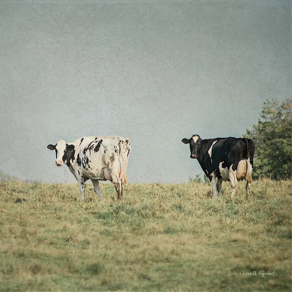 Neutral Country III Crop by Elizabeth Urquhart. SKU 22385a. Archival Giclee Fine art print for wall decor.