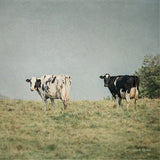Neutral Country III Crop by Elizabeth Urquhart. SKU 22385a. Archival Giclee Fine art print for wall decor.