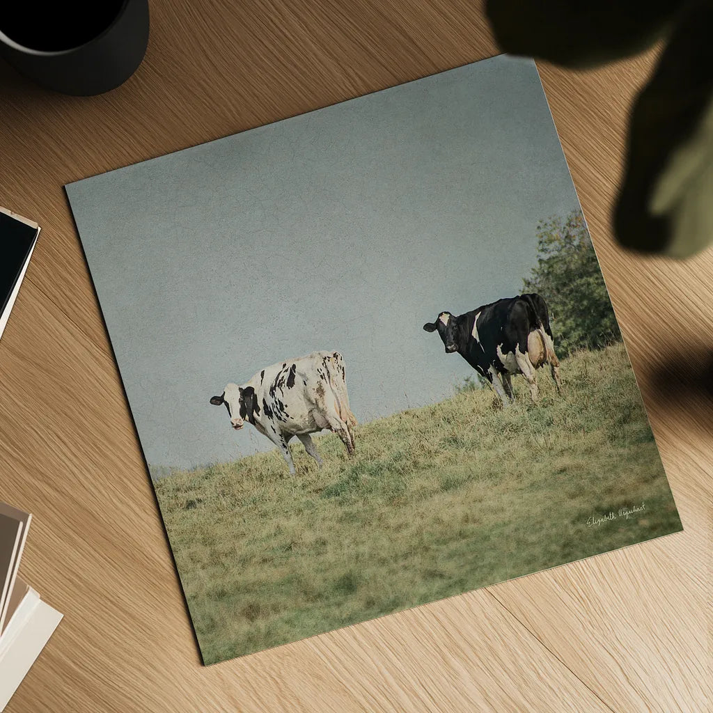 Neutral Country III Crop by Elizabeth Urquhart. Shown as a detailed flat fine art print, highlighting archival giclee quality. Available as an archival giclee rolled canvas, fine art paper, or poster print. SKU 22385a.