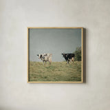 Neutral Country III Crop by Elizabeth Urquhart. Shown in a natural wood glass frame for a timeless modern aesthetic. Available as an archival giclee rolled canvas, fine art paper, or poster print. SKU 22385a.