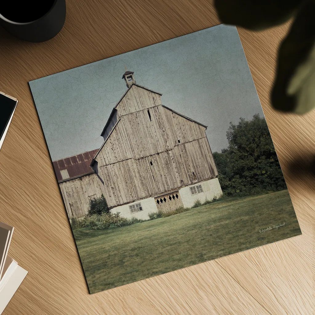 Neutral Country IV Crop by Elizabeth Urquhart. Shown as a detailed flat fine art print, highlighting archival giclee quality. Available as an archival giclee rolled canvas, fine art paper, or poster print. SKU 22386a.