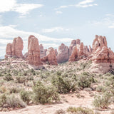 Oasis Day Hike III Crop by Elizabeth Urquhart. SKU 72483a. Archival Giclee Fine art print for wall decor.