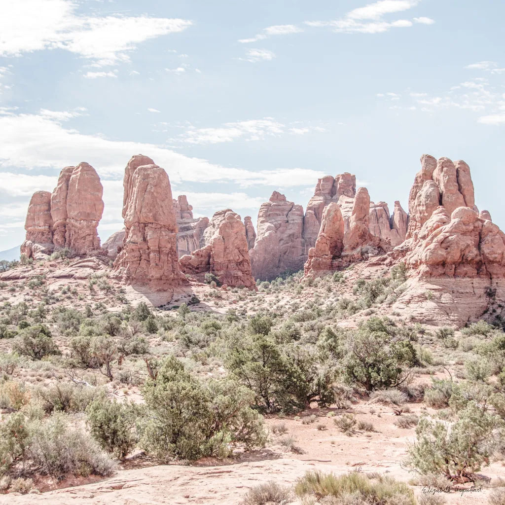 Oasis Day Hike III Crop by Elizabeth Urquhart. SKU 72483a. Archival Giclee Fine art print for wall decor.