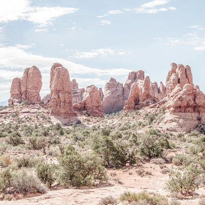 Oasis Day Hike III Crop by Elizabeth Urquhart. SKU 72483a. Archival Giclee Fine art print for wall decor.