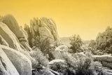 Ombre Adventure I by Elizabeth Urquhart. SKU 33208i. Archival Giclee Fine art print for wall decor.